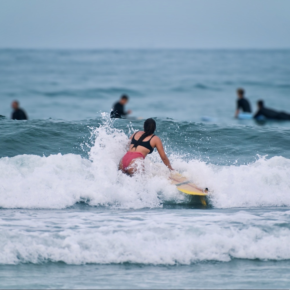 Meet your Posher, Erin